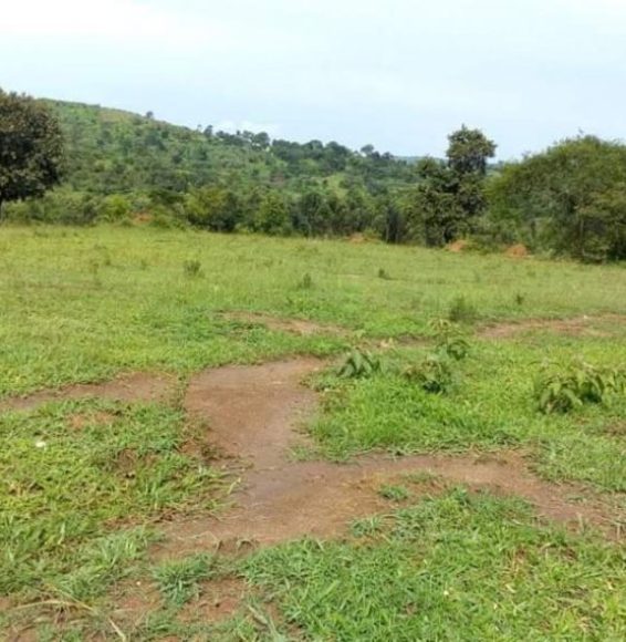 Land-sale-Uganda-850x570